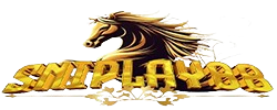 sniplaylogin.org